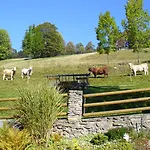 Gasthof Bouda Na Ceste